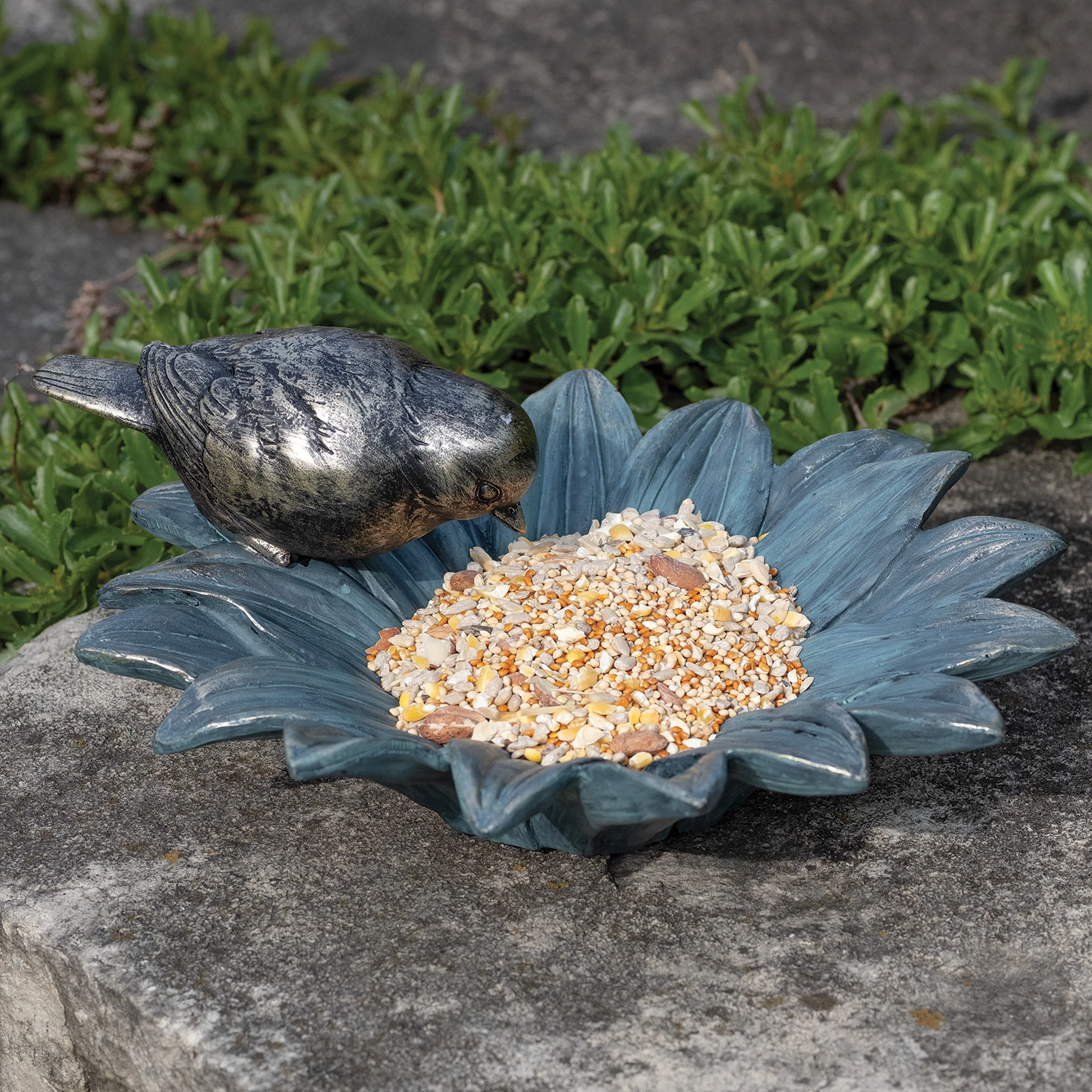 Bird on Sunflower Bird Feeder